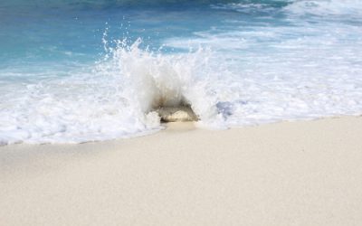 އެންއައިއީގެ ޓީމެއް އުތުރު ސަރަޙައްދުގެ ސްކޫލްތަކަށް ޒިޔާރަތްކޮށްފި